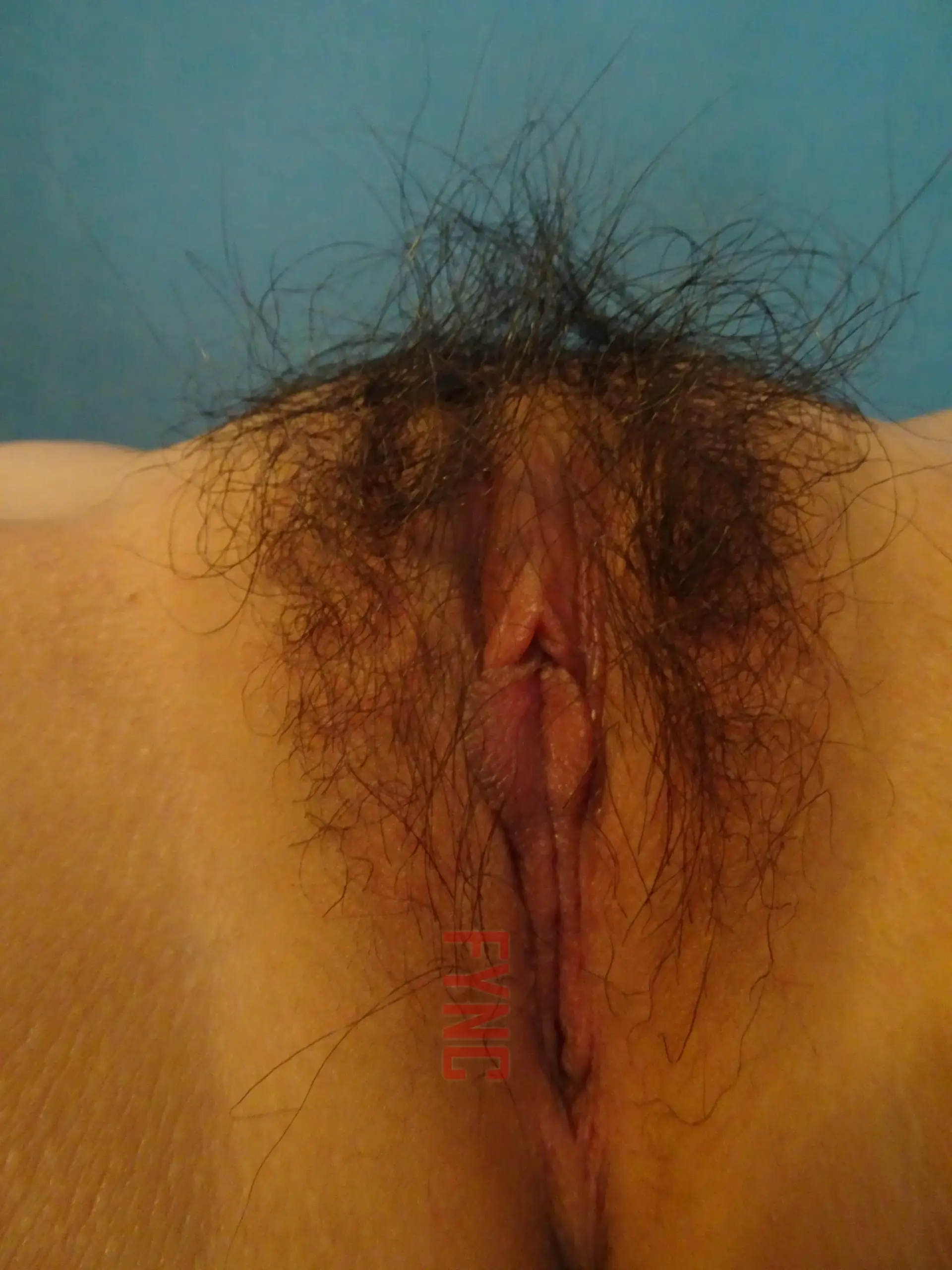 MzdUcVY2RmgxTG1lbDZocGdUdTBZY3k1S0lTTEZYZERZOHIwUXFtNTMvc05mY0ZlclQwQ2N3WkY1ZzdjZFE4Kw d scaled